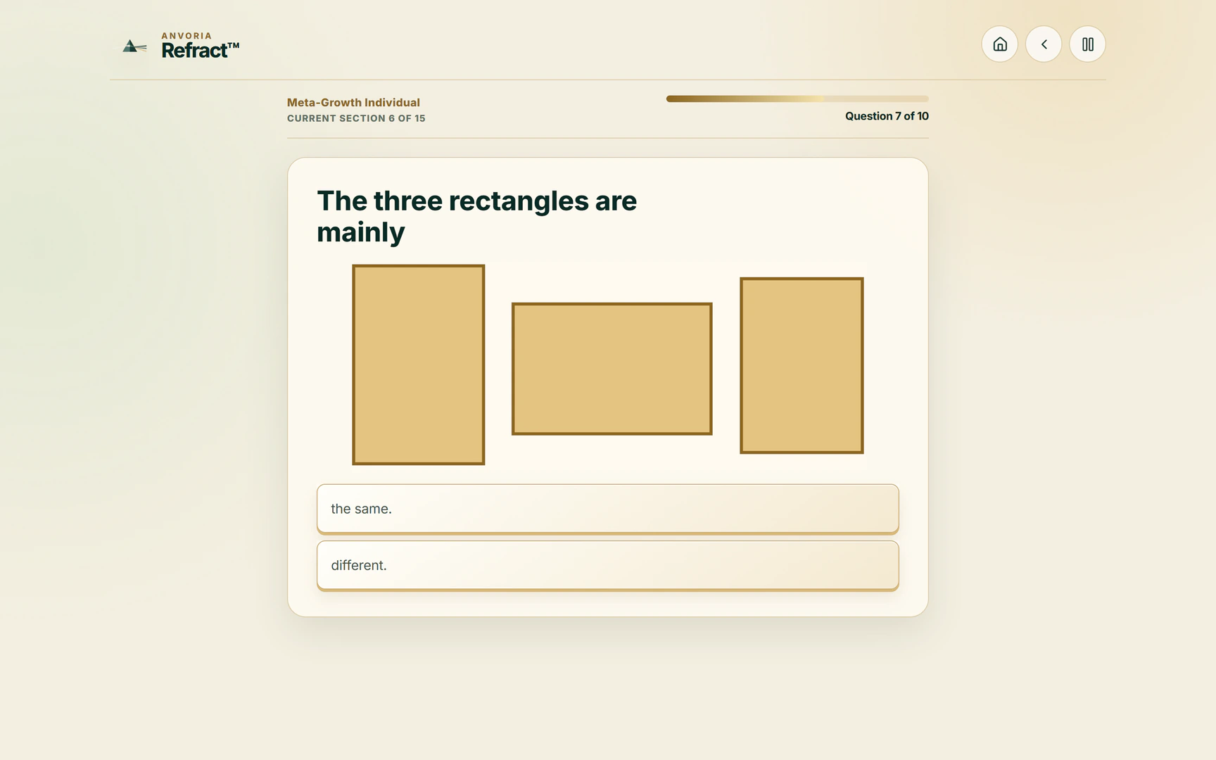 A Module D question in the Anvoria Refract™ assessment showing three rectangles and the answers ‘the same’ and ‘different’. Anvoria Refract potential analysis for structured personal development and targeted life coaching in Vienna with life and career coach Steven Sabet